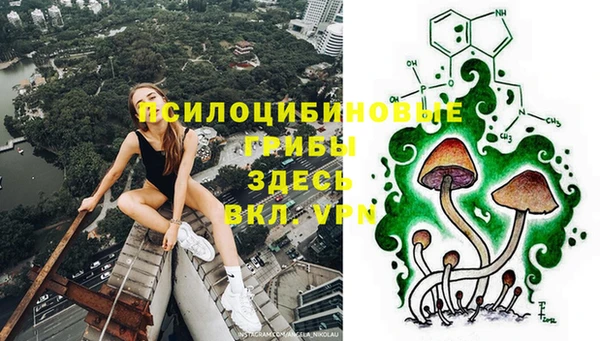 а пвп мука Арсеньев